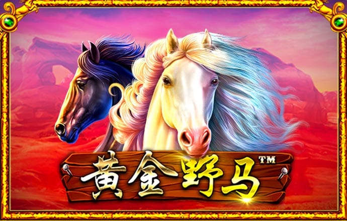 佳博体育官网登录